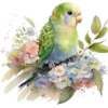 Aves💞1🇵🇪Clásica 22