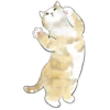 Gatitos💞11🇵🇪Clásica 21