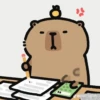 Capybara - Every Day Office 21