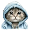Gatitos💞12🇵🇪Clásica 19