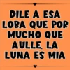 Frases xq si 4! 22