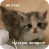 PhMqIhH_by_achestickbot 27