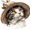 Gatitos💞12🇵🇪Clásica 20