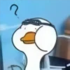 😎Patos con estilo💪 27