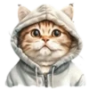Gatitos💞12🇵🇪Clásica 21