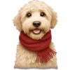 ♥️iPhone emoji San Valentín🌹♥️ 15