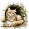 Gatitos💞12🇵🇪Clásica 23