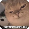 PhMqIhH_by_achestickbot 28
