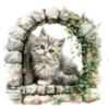 Gatitos💞12🇵🇪Clásica 24