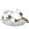 Gatitos💞11🇵🇪Clásica 24
