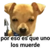 por eso es que uno los muerde