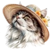 Gatitos💞12🇵🇪Clásica 25