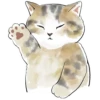 Gatitos💞11🇵🇪Clásica 25
