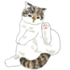Gatitos💞11🇵🇪Clásica 27