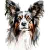 Perritos bonitos💞7🇵🇪Clásica 28