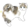 Gatitos💞11🇵🇪Clásica 29