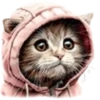 Gatitos💞12🇵🇪Clásica 26