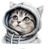 Gatitos💞12🇵🇪Clásica 27