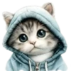 Gatitos💞12🇵🇪Clásica 29