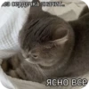 PhMqIhH_by_achestickbot 30