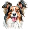 Perritos bonitos💞7🇵🇪Clásica 29