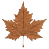 Cozystick 28