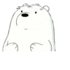 WBB - Ice Bear 5