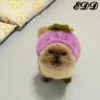 Cats 5