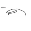 FlorkOfCows 7