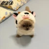 Cats 7