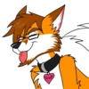 Ramael Fox by Ligoni-EXE 9
