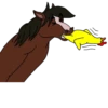 Wild Horse and Dog 8