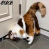 Cats 10