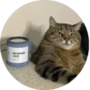 i love Toyota and cats 11