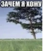 нет 14