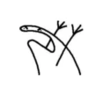 FlorkOfCows 19