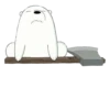 WBB - Ice Bear 16
