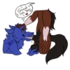 Wild Horse and Dog 17