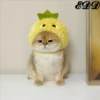 Cats 19