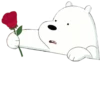 WBB - Ice Bear 21