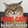 Komi cats 16