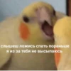 MOOD3 21