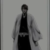 Sōsuke Aizen 21
