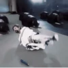 Taehyung bts @wejkew :: 18