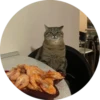 i love Toyota and cats 17