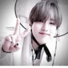 Skz 23