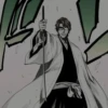 Sōsuke Aizen 23