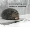 MOOD3 23