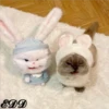 Cats 24