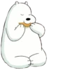 WBB - Ice Bear 27